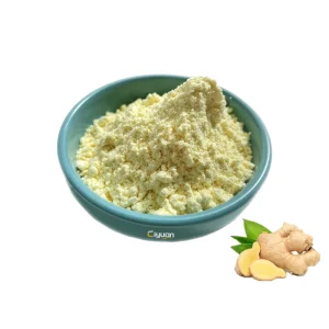 Herbal Supplement Ciyuan Factory Wholesale Price Organic Water Soluble Ginger Zingiber Officinale Root Extract Powder