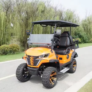 Kepler 4 Seater 48 Volt Lithium Battery