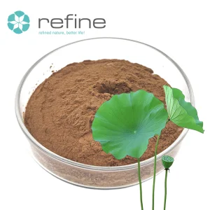 High Quality Lotus Leaf Extract Powder