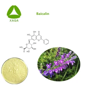 Natural Baicalin Supplement Pure 98% Baicalin Powder
