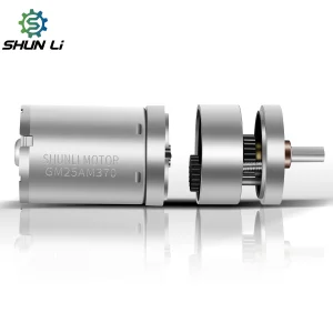25mm Mini Dc Gear Box Motor