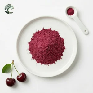 Hot Selling New Products Cold Pressed Food Grade Fruit Extract Organic Cherry Powder Vacuum Packed