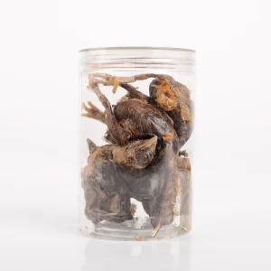 Freeze-Dried Chick Whole Chicken in Bulk Cat Dog Pet Snack Nutritious Interactive Reward Snack Food