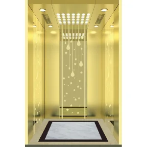 China-Manufactured Passenger Elevators for Luxury Hotels Hospitals Office Buildings &amp; Residential Homes