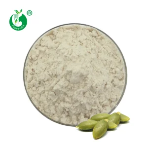 Pumpkin Seed Protein 70%