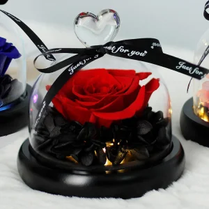 Factory Wholesale High Quality Heart Preserved Rose Glass Dome Real Everlasting Real Rose Flower Foreyer Roses in Glass Dome with LED
