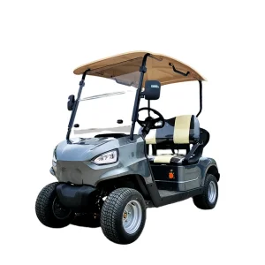 High Quality 2-Seater Electric Golf Cart on Sale Promotional Mini Golf Cart