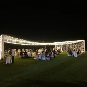 Wedding Fairy Light Curtain