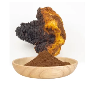 AMULYN Certified Organic Mushroom Extract