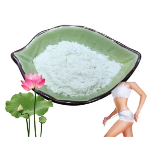 High Purity Nuciferine Lotus Leaf Extract