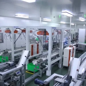 Automated Robotic Packing Line for Frozen Dumpling Trays