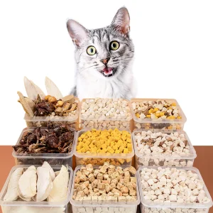 Highly Palatable Gluten-Free Freeze Dried Food with Quick Delivery