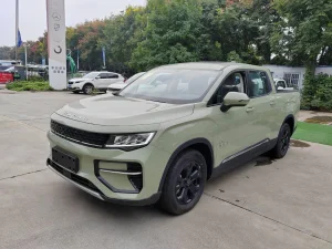 2024 New Geely Rd6 Pure Electric/EV 4X2 Double Cabin Pickup Truck