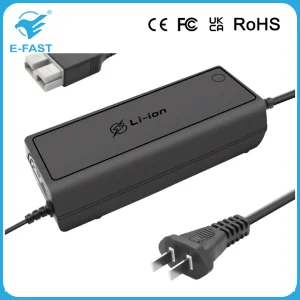 12V Series Vehicle Charger