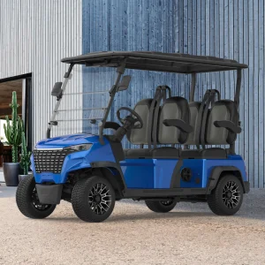 Modern Style 4 Passenger Golf Car