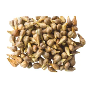Wholesale Natural Grape Seed Extract 10:1 Grape Seed Powder