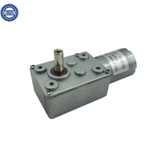 Micro Worm Gear Motor