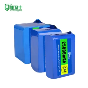 Lws 22V 24V 48V 72V 20ah LiFePO4 Batterie 12V Lithium Ion Battery Pack