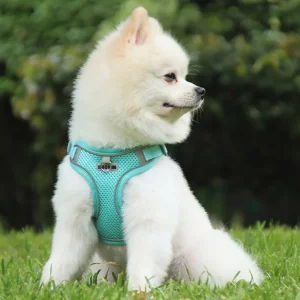 Tactical Luxury Pet Harness