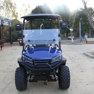 6 Seater Lithium Battery