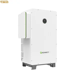 Growatt Wit MPPT on Grid Commercial &amp; Industrial PV Solar Power AC-Coupled Inverters Price