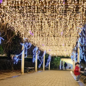 Solar/Plug Garden Decoration Festival