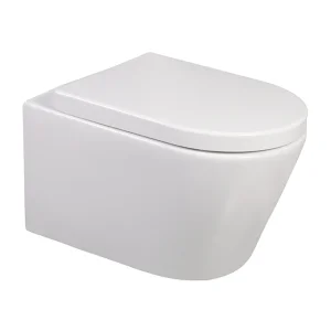 Flushing Washdown Wall Hung Toilet with Concealed Cistern