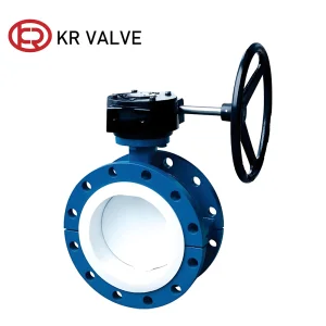 OEM Ductile iron material split body full PTFE