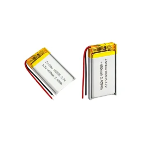 ZonYou Li-polymer Battery