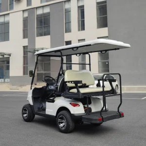 Electric Golf Cart