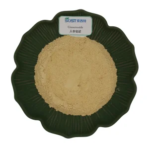 100% solúvel em água extrato de folha de ginseng panax