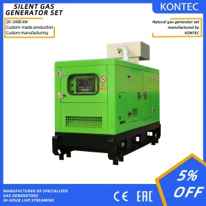 10kw Generador de gas portátil