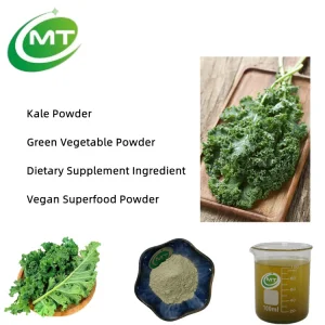 Extracto de Vegetales Verdes Suplemento Dietético Apoyo a la Digestión Polvo de Col Rizada