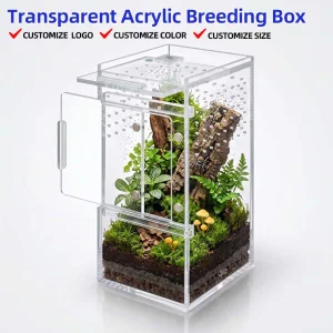 High End Transparent Acrylic Breeding Box