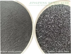 Sodium Humate in Aquaculture Briquette Coal Binder and Feed Additive