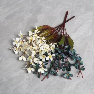 High-End Autumn Orchid