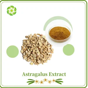 Plant Extract/Astragalus Extract/Astragalus Polysaccharide 30% 50% 98%/Astragaloside 10% 98%/Astragalus Root Extract Powder