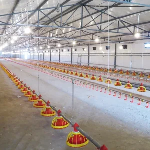 Chicken House Steel Structure Design Tunnel Broiler Machine Poultry Feeding Farm System
