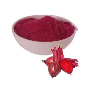 Wholesale Natural Vegetable and fruit Powder Red Beet Root