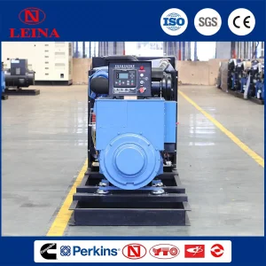 250kw Conjunto de Generador Diesel Prime para Energía de Respaldo Confiable