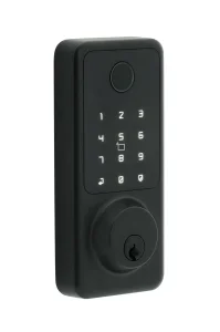 American Standard Waterproof Keyless Entry Tuya/Tt Wireless Digital Password Fingerprint Mf Card Smart Door Lock (A027)
