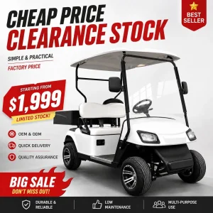 Low Price Utility Electric Golf Cart 2 Seater 48v 500kg