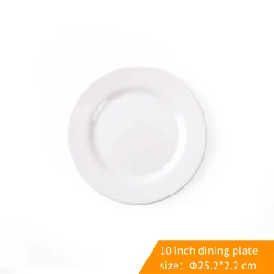 Melamine Plate