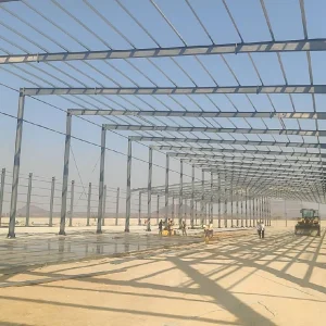 Chinese Design Style Lightweight Prefab Industrial Steel Structure Warehouses Modern Light Workshop 1 Year Warranty Total