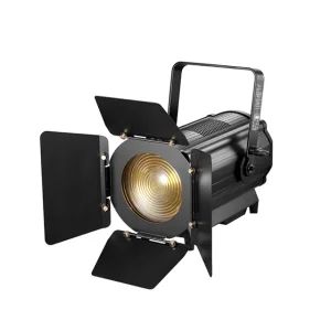 300W Studio Spot Light