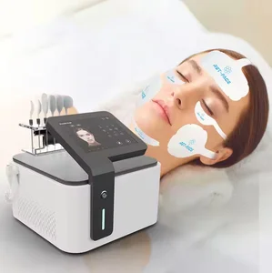 2 in 1 EMS RF Face Sculpt