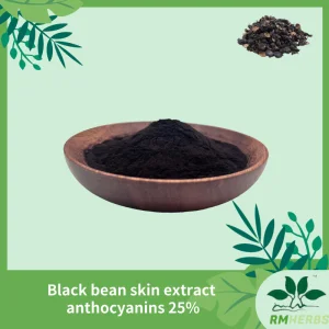 Black Bean Extract