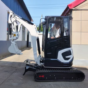 Micro Digger 2 Ton