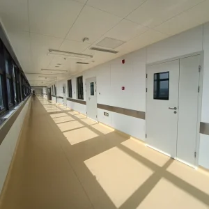 CE Certified Air Tight Leaf High Performance Cleanroom Door Manufacturer Direct for Bio-Safety Purification