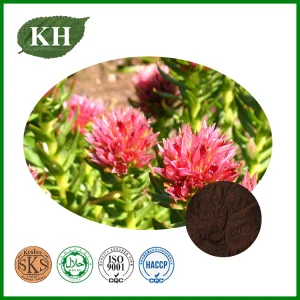 Número CAS: 10338-51-9 Extrato Natural de Rhodiola Rosea com Alta Qualidade de Rosavinas Salidrosídeo